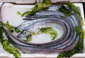 La spatola è un pesce d'acqua salata presente prevalentemente nel mar mediterraneo. Pesce Spatola La Cucina Italiana