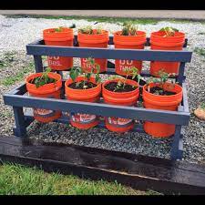 Check spelling or type a new query. Last Year I Had Great Success Growing Vegetables In 5 Gallon Buckets At The Time I Lived In A Rental Raised Container Garden Bucket Garden Bucket Gardening