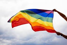 O 17 de maio é marcado como o dia internacional de luta contra a lgbtfobia, e em 28 de junho é celebrado o dia do orgulho lgbt. Por Que Junho E O Mes Do Orgulho Lgbtqia Pizza Prime