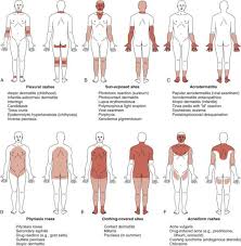 skin examination oxford medical education