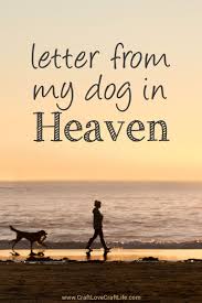  Letter From Heaven Message From Your Dog At Rainbow Bridge Dog Heaven Dog Heaven Quotes Letter From Heaven