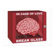 In case of love break glass. In Case Of Love Break Glass And Use Brain Postcard Zazzle Com In 2021 Custom Holiday Card Postcard Erin Condren Life Planner