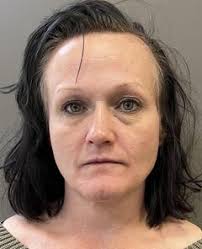 Four arrested in Priceville for meth possession after disturbance