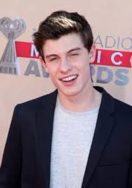 Shawn Mendes : "J'espère pouvoir être toujours sur scène dans dix ans"