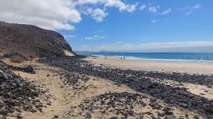 Image result for Sandy Beach Brown 2011 Captiva