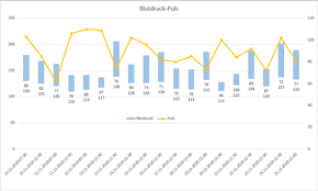 Im nebenstehenden bemerkungsfeld können sie zusätzlich angaben machen,. Excel Blutdruck Diagramm Mit Datum Und Uhrzeit