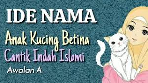 Anak kucing memerlukan makanan yang berbeda dengan kucing dewasa. Baru Nama Kucing Yang Bagus Dalam Islam Nama Anak Kucing Perempuan Betina Cantik Lucu Awalan A Youtube