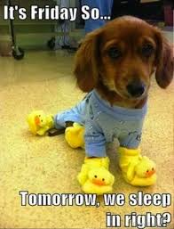 Check spelling or type a new query. 80 Funny Friday Memes To Kickoff That Long Awaited Weekend Inspirationfeed