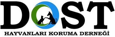 Iletisim Adres Konum Dost Dernegi