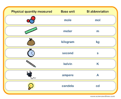 Learn About S I Units