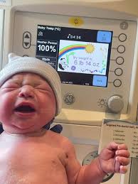 Tyler castle (@tyler61498)