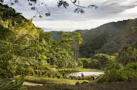 Le Jardin De Balata Jardins Martinique Caraibes