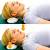 Neck Retraction Muscles