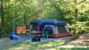 Cabins is an unincorporated community on the north fork south branch potomac river in grant county, west virginia, united states. Medoc Mountain State Park Camping