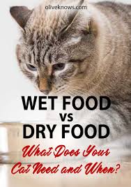Your cat is moping around the house. Wet Food Vs Dry Food What Does Your Cat Need And When Oliveknows Cats Cat Food Reviews Best Cat Food