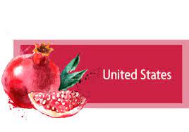 View email delivery statistics for pomonapectin.com, including open rates, send rates, and smtp bounce codes. Order Pomona S Pectin Pomona S Universal Pectin Sugar Free No Preservatives