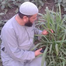 We did not find results for: Gomaa Mahdi S Stream