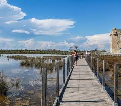 Camargue Visite Aigues Mortes Tourisme Occitanie
