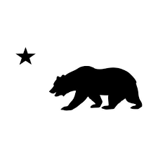 We did not find results for: 11 Best California Bear Tattoos Ideas California Bear Tattoos Bear Tattoos California Bear