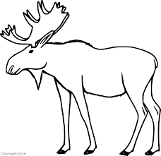 Here's a list of the best unique, easy and advanced coloring pages for adults. Moose Coloring Pages Coloringall