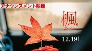 CINRA - News update