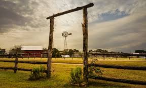 The combined market value of farms for sale in texas is $4 billion, with the average price of farms for sale in being $1.23 million. Texas Small Land Sales Demand Continues To Grow Texas Realtors