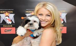 The top picks are names like these — riri, mimi, sweetie, as they are practical and maybe trendy within celebrities as well. Celebrity Dog Names Cute Animal Names