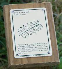 Tree Identification Sign Project Plant Identification Signs Tree Identification Interpretive Signage