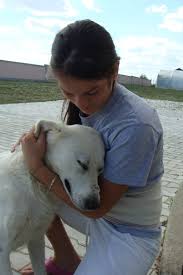 Maybe you would like to learn more about one of these? Death Of A Pet Prayer Or Pet Memorial Prayer Prayer Ideas