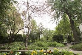 Ginkgo gardens continues to prosper and develop as a business with a 20% growth last year as they to develop their commercial landscape presence. Story Ginkgo Organic Gardens