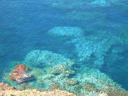 Via isola dell'asinarafollonica 59 метров. Isola Di Ustica Palermo Isulasicilia