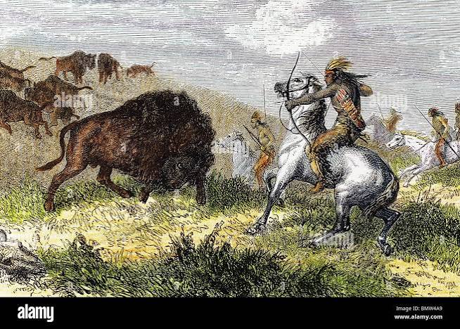 Indians hunting bison. Engraving. 19th century Stock Photo - Alamy