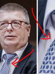 AFD i Thomas Halden Wang: Sprawa Sądu i Inwigilacji