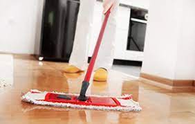 pin on cleaning