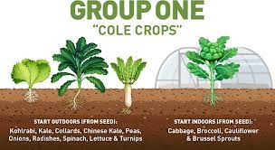 It was released in march 2018 under mama bird recording company. Early Spring Gardening What To Plant And When Ifa Country Stores