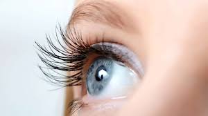 Penjepit bulu mata dan eyelash extension sering jadi solusi buat para cewek yang mendambakan bulu mata lentik. Tak Butuh Maskara Ini 5 Cara Alami Menebalkan Dan Memanjangkan Bulu Mata