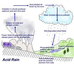The first acid rain in history was recorded back in 1872, just in the heyday of industrialization, the massive construction of factories and mills. Acid Rain Cause And Effect Bp Myscience Challenge 2010