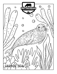 Free printable coloring pages for kids. Harbor Seal Coloring Page C S W D