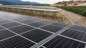 Check spelling or type a new query. Are Solar Panels Worth It Fun In The Sun Solar