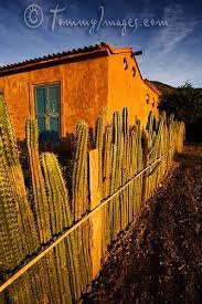 I used astral sorcery and cobble stone blocks. Cactus Fence And Stucco House San Pedro Cacti Stucco Homes Cactus Farm