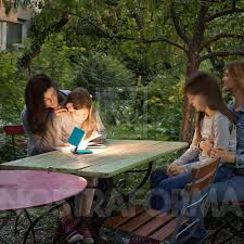 Image result for Nimbus Roxanne Fly wireless lamps light