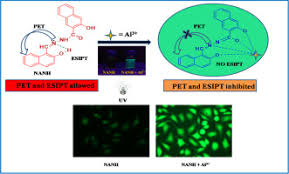 Whether you are decorating a brand new home or apartment, or just freshening up the basics, amazon.com's home & kitchen store has everything you need at everyday low prices and free shipping on qualified items. Application Of Real Sample Analysis And Biosensing Synthesis Of New Naphthyl Derived Chemosensor For Detection Of Al3 Ions Sciencedirect