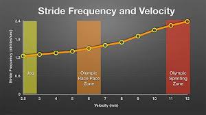 how to build the perfect stride cadence with runscribe