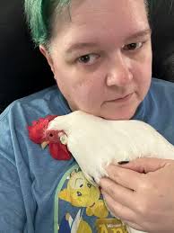 Should I make chicken breeds as Christmas ornaments?