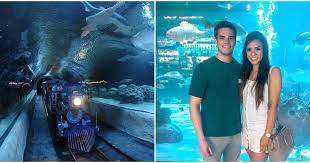 Texas Has An Underwater Train Where You Can Get Up Close With Sharks Video Train Rides Downtown Houston Shark