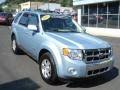 Image result for Light Ice Blue 2009 Escape