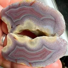 Image result for Agate Red Brown 1956 Wayne Works