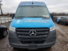 Image result for Hyacinth Blue 2004 Sprinter