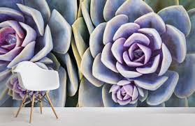 Each and every succulent plant and desert verdure have the ability. Succulent Plant Wallpaper Mural Hovia Uk