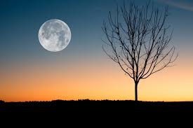 Life requires that we have a position of independence at various times. Full Moon In Cancer A Deeper Truth